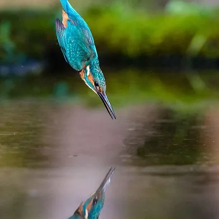 Two-bedroom Near Sea 3