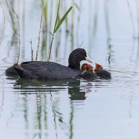 Two-bedroom Near Sea 3 Daire