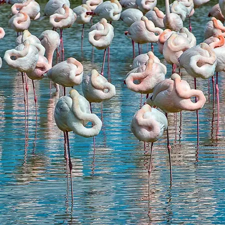 Daire Two-bedroom Near Sea 3 *